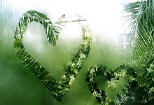 爱游戏：中超第3轮，梅州客家-山东泰山，前瞻：难以抵挡.